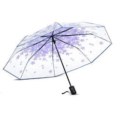 Fizix Transparent Windproof Travel Waterproof Fiberglass Umbrella