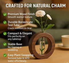 Fizix Decorative Glass Test Tube with Donut Wooden Holder Vase